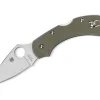 Dragonfly G10 Foliage Green