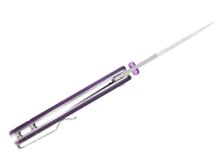 Fighter G10 Purple & Green