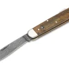 Hunters Knife Mono Damascus Curly Birch Brown