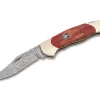 Junior Scout Curly Birch Red Damascus