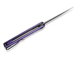 Mini Asticus Purple G10