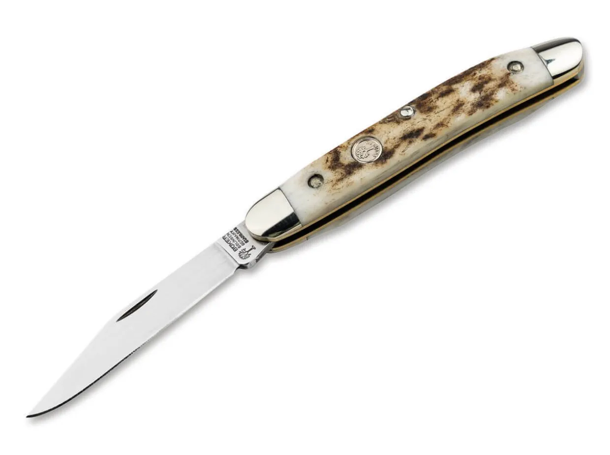 Pocket Knife Stag