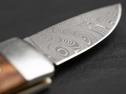 Pocket Thuja Damascus